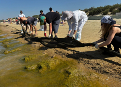 Новые данные мониторинга пляжей в Анапе 