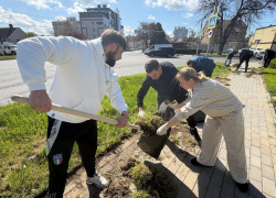 Аллея роз в Анапе стала центром масштабного субботника