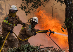 В Благовещенской под Анапой от удара молнии загорелась трава