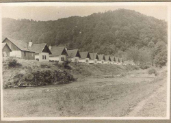 История Анапы: нынешнее село Джигинка основали немцы и назвали Михаэльсфельд 