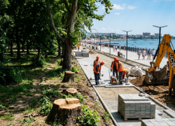 Зелёные зоны Анапы под угрозой: куда исчезают деревья и во что превращается благоустройство города