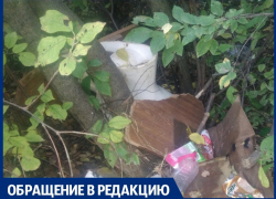 Гид по замусоренным детским площадкам Анапы 