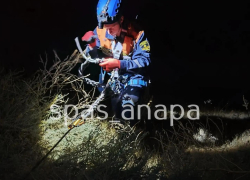В Анапе спасатели помогли мужчине выбраться с крутого склона