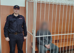  Анапские полицейские задержали серийного мошенника