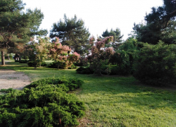 Будет ли в Ореховой роще кинотеатр, решают анапчане