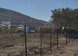 У реки Сукко под Анапой вырубают вековые деревья – жители опасаются массовой застройки