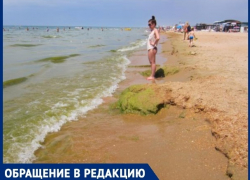 Анапчанка жалуется на вонючие кучи тины на берегу моря