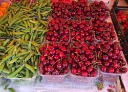 В Анапе начинает поспевать черешня: полезные свойства летней ягоды