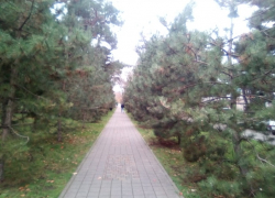 В первый день 2023 года в Анапе пасмурно