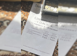 Повышения цен на проезд в маршрутках Анапы не будет – пока