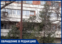 Анапчанка жалуется, что дом на улице Ленина, 134 стал притоном бомжей и наркоманов