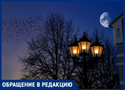 Марина Касьянова предлагает установить фонари в районе парка "Джунгли" в Анапе