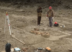 При раскопках в Анапской нашли захоронение римского легионера вместе с конем