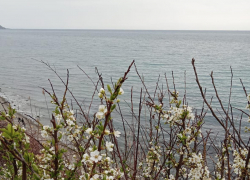 Во Всемирный день рок-н-ролла в Анапе снова пасмурно