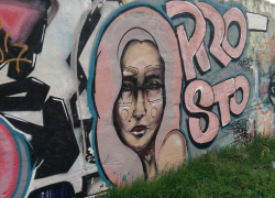 Жилье с видом на мат: элитные таунхаусы в Анапе разрисованы бранными словами