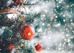 Анапчане празднуют Старый Новый год: история и традиции праздника