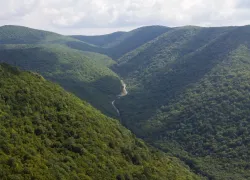 В связи с сильной жарой в заповеднике под Анапой прекратили проведение экскурсий 