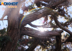 В Анапе прогнозируют магнитные бури из-за самой сильной солнечной вспышки 