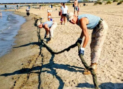 Новые результаты мониторинга пляжей Анапы 