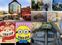 От гостиницы у моря до фермы живых бабочек – какие дорогие и необычные бизнесы продают в Анапе