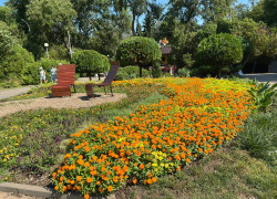 Гороскоп с 1 по 7 августа: Стрельцов потянет путешествовать