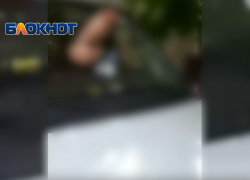 Резиновым фаллосом наказывают анапских нарушителей парковки