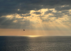 В день сока в Анапе ветер успокоится