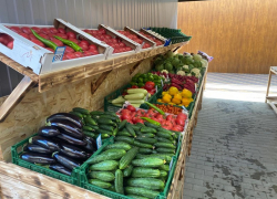 В Анапе предусмотрели 37 торговых мест для фермеров