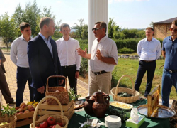 Усадьба Малкандуевых под Анапой может стать новым объектом агротуризма