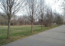 Гороскоп для анапчан с 17 по 23 апреля: Рыбам не стоит игнорировать неприятные симптомы