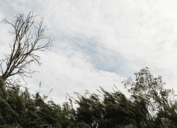 В Анапе вновь прогнозируют ураганный ветер – до 30 м/сек