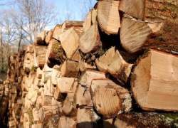 Соцзащита: в Анапе изменились правила компенсации расходов на твердое топливо