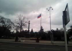 Новый мяу-год кошек порадует анапчан солнечной погодой