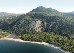 Частник захватил участок леса в Большом Утрише и построил деревянные объекты