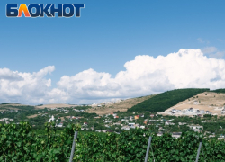 Немного из истории: становление и развитие виноградарства в Анапе