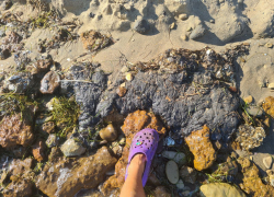 В Анапе возможны новые выбросы мазута 