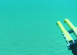 Морское дно у Анапы могут очистить от мазута уже в июне