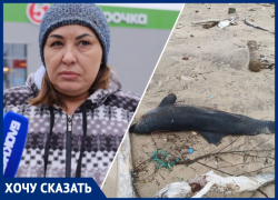 Если не убрать – есть риск заражения инфекцией»: анапчанка о мертвом дельфине на пляже
