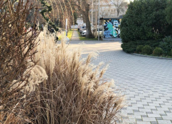 Международный день очкарика в Анапе начнётся с дождя