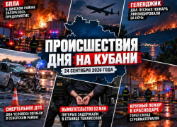 БПЛА, крупные пожары, смертельное ДТП и вымогательство 52 млн: происшествия дня на Кубани