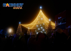 Голосуйте за лучшую: 10 фактов о главной новогодней ёлке Анапы