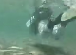 Искали мазут: что обнаружили дайверы на дне моря у Анапы