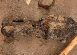 Взрывотехники Росгвардии уничтожили найденную в Анапе гранату времен ВОВ