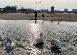 В Международный день кино в Анапе пасмурно