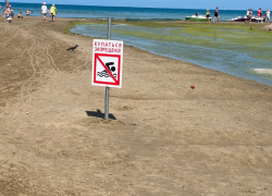 «Опасно для здоровья» – почему нельзя купаться в реке Анапке