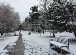 Анапа утром 16 января превратилась в снежную сказку