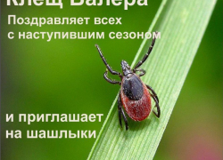 Укусил клещ в Анапе - поезжай в Новороссийск!