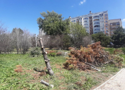 В Ореховой роще в Анапе начали наводить порядок