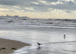 Дождь и ветер:в понедельник анапчанам понадобятся зонтики
