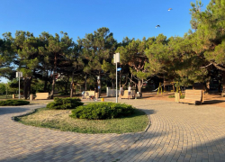 В День Шнобелевской премии в Анапе преимущественно солнечно